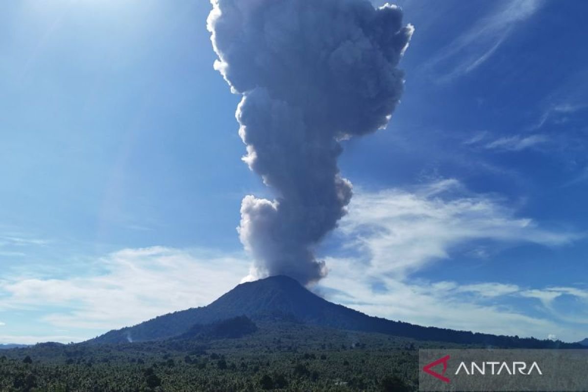 Update Gunung Ibu Erupsi: Abu Vulkanik Tebal Mengarah ke Timur Laut