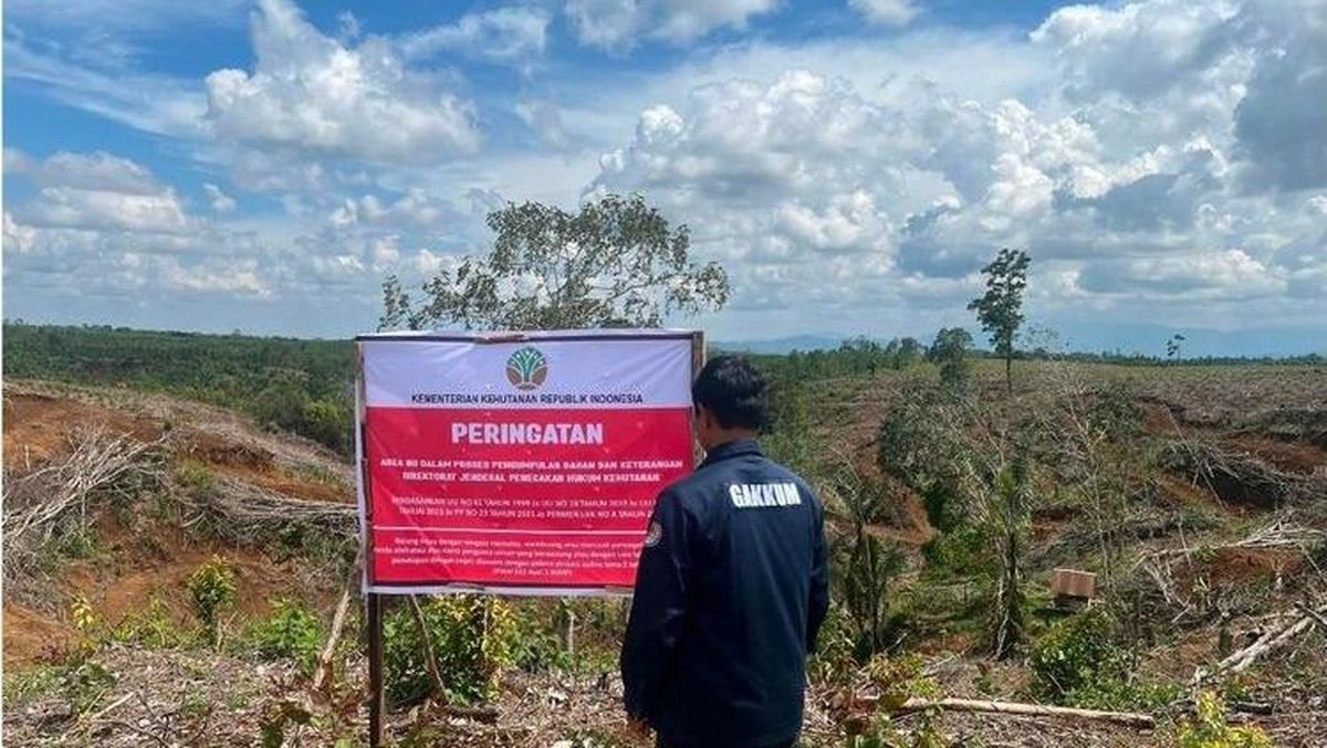 Kementerian Kehutanan Audit 24 Perusahaan untuk Cegah Kerusakan Hutan dan Banjir di Sumatera