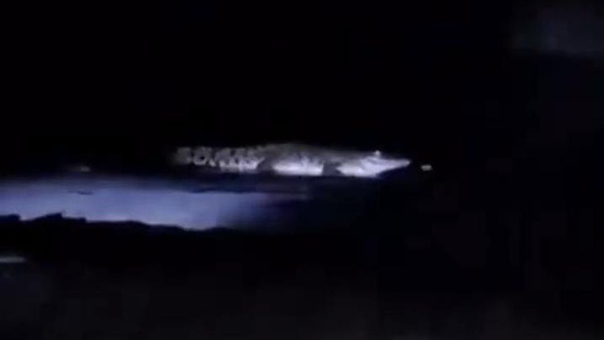 Viral Video Buaya di Pantai Watu Leter Malang, Polisi Klarifikasi