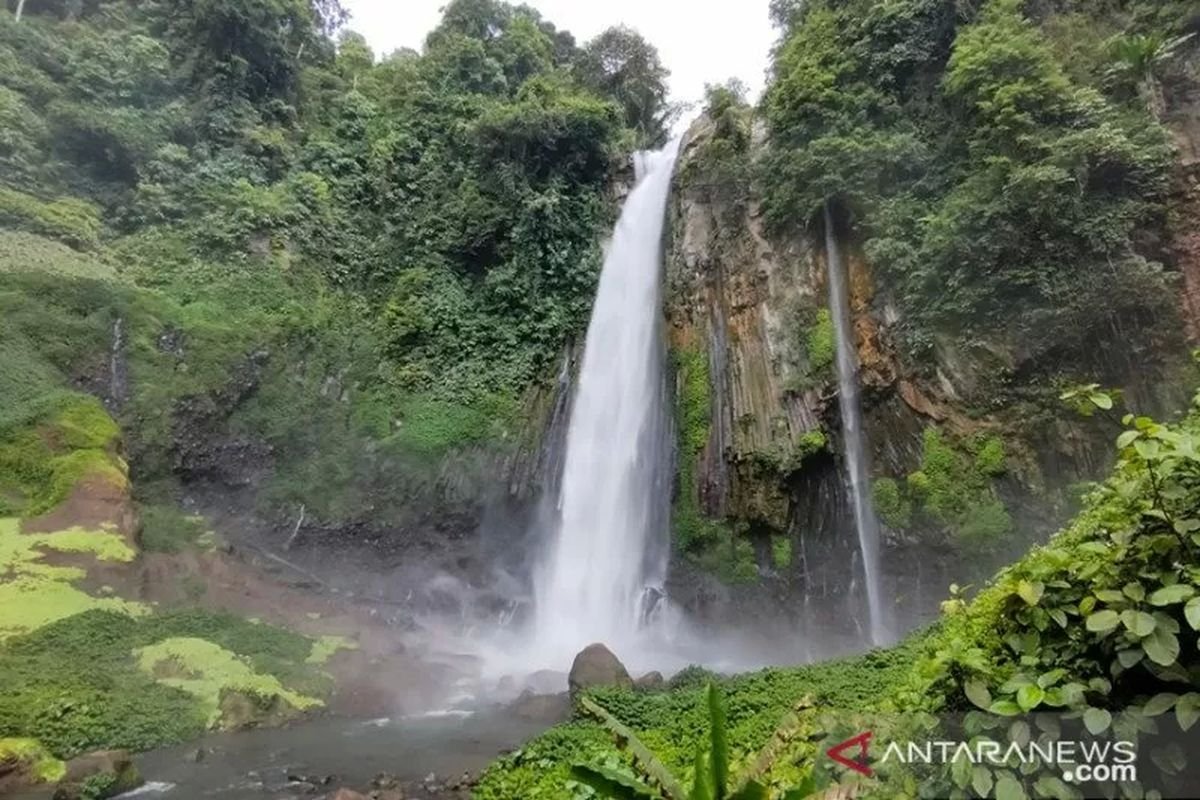 Eksplor 7 Destinasi Wisata Bengkulu Paling Viral: Paralayang, Hutan Madapi hingga Pantai Sungai Suci