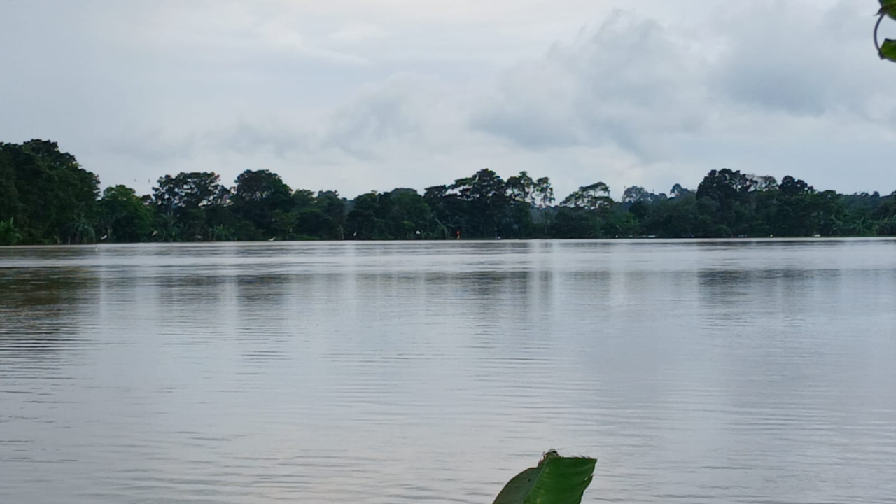 Banjir di Kabupaten Tangerang Meluas, 108 Hektare Sawah Terendam