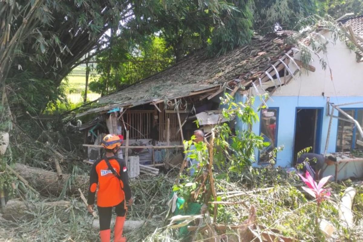 Satu Warga Jember Tewas Tertimpa Pohon Tumbang Saat Angin Kencang