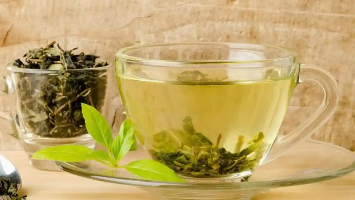Tak Hanya Antioksidan, Ini Khasiat Teh Hijau bagi Tubuh
