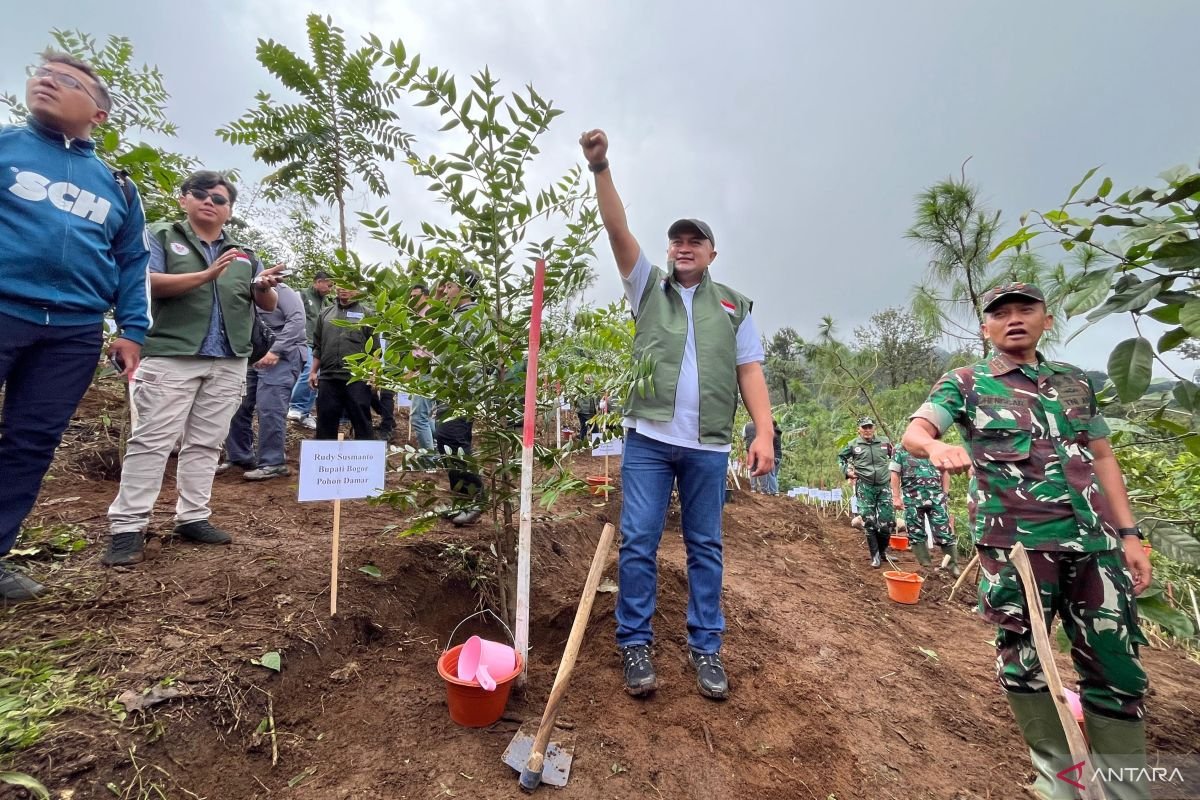 Bogor Canangkan 220 Hektare Hutan Kota, Hulu Ciliwung Jadi Prioritas