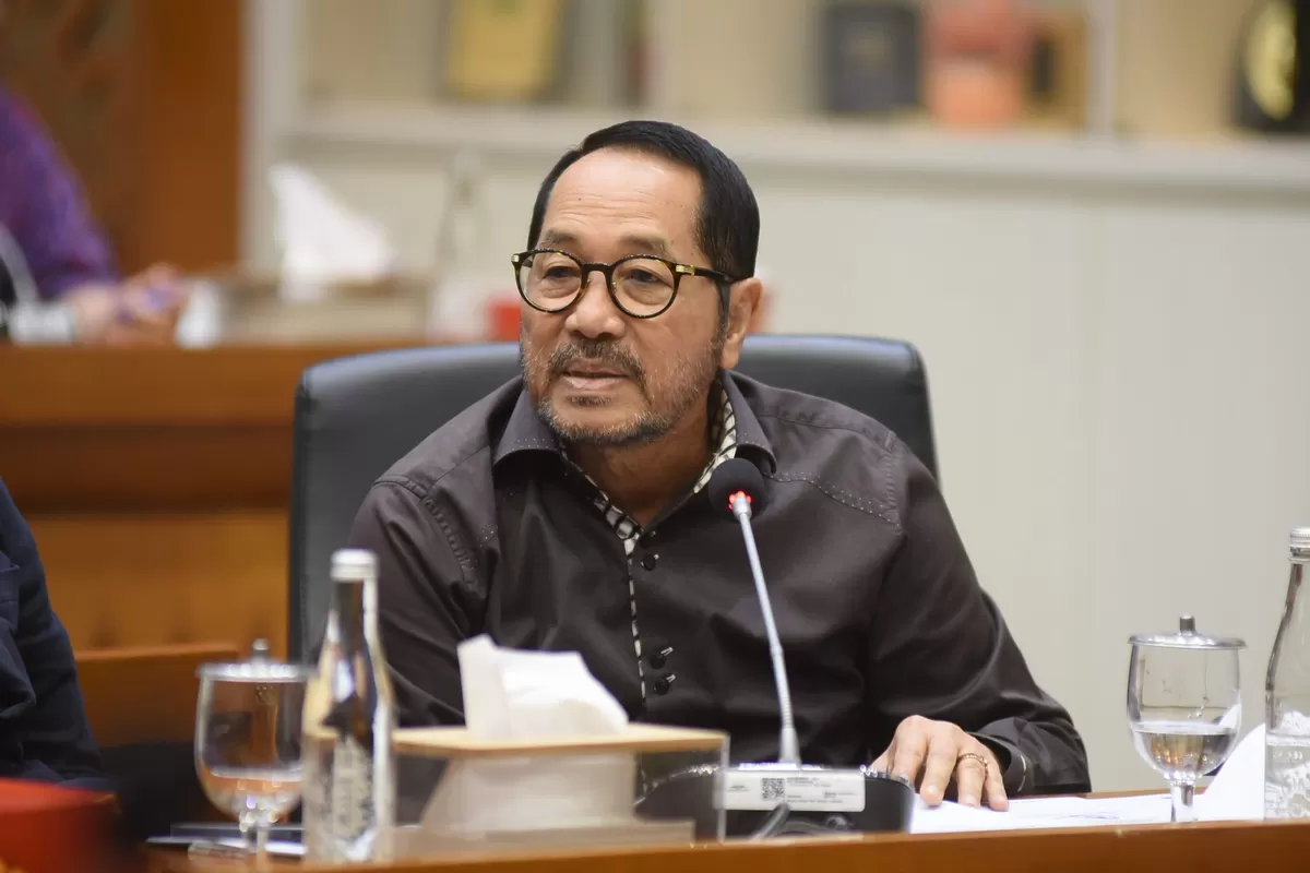 Legislator DPR Sebut Swasembada Pangan Capai Target Pemerintah