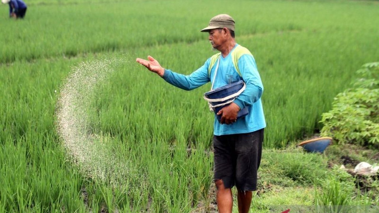 Kementan Targetkan Efisiensi Subsidi Pupuk 20 Persen Lewat Perpres Baru