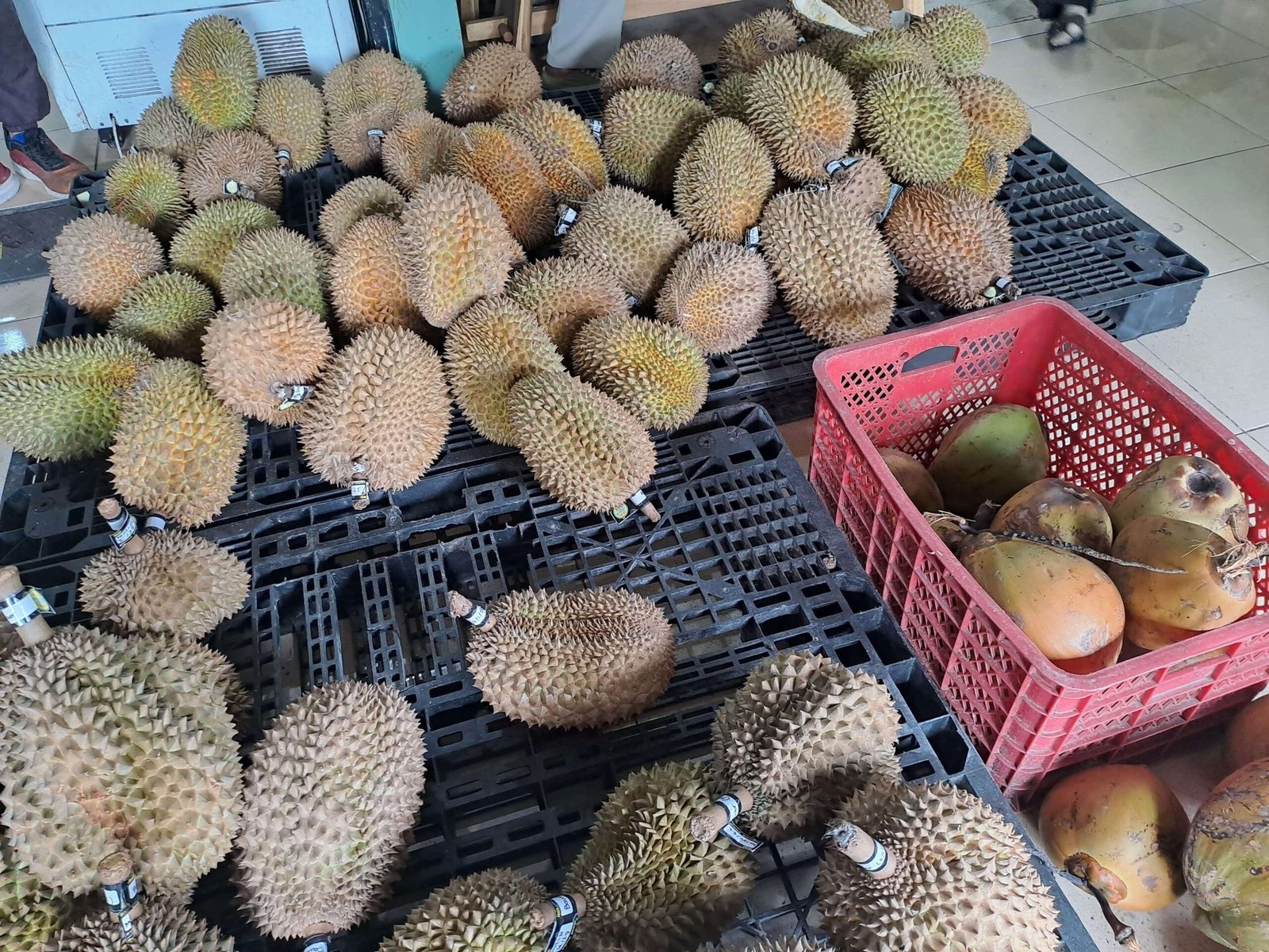 Durian Indonesia Laris di China, Target Pangsa Pasar Capai 10 Persen