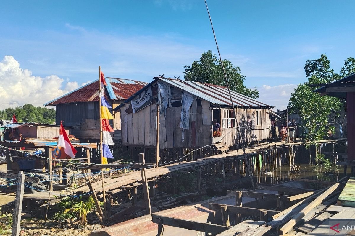 Ratusan Ribu Rumah di Papua Tak Layak Huni, BPS Soroti Kebutuhan Perbaikan