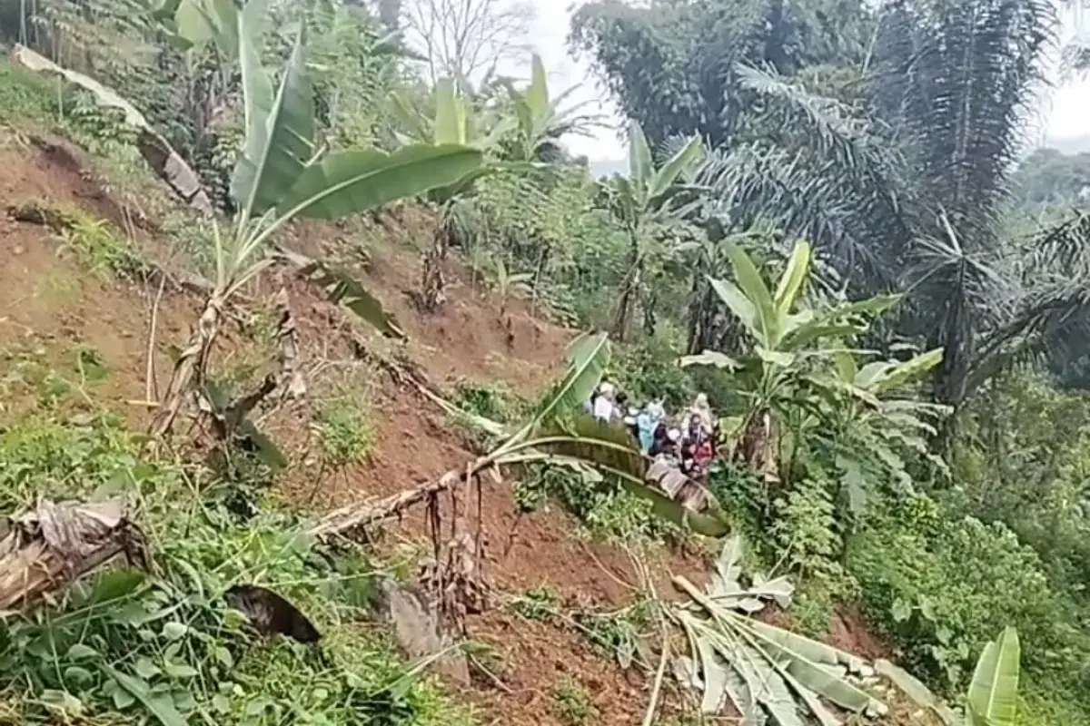 Cuaca Ekstrem Picu Longsor di Cipanas, 14 Warga Dievakuasi