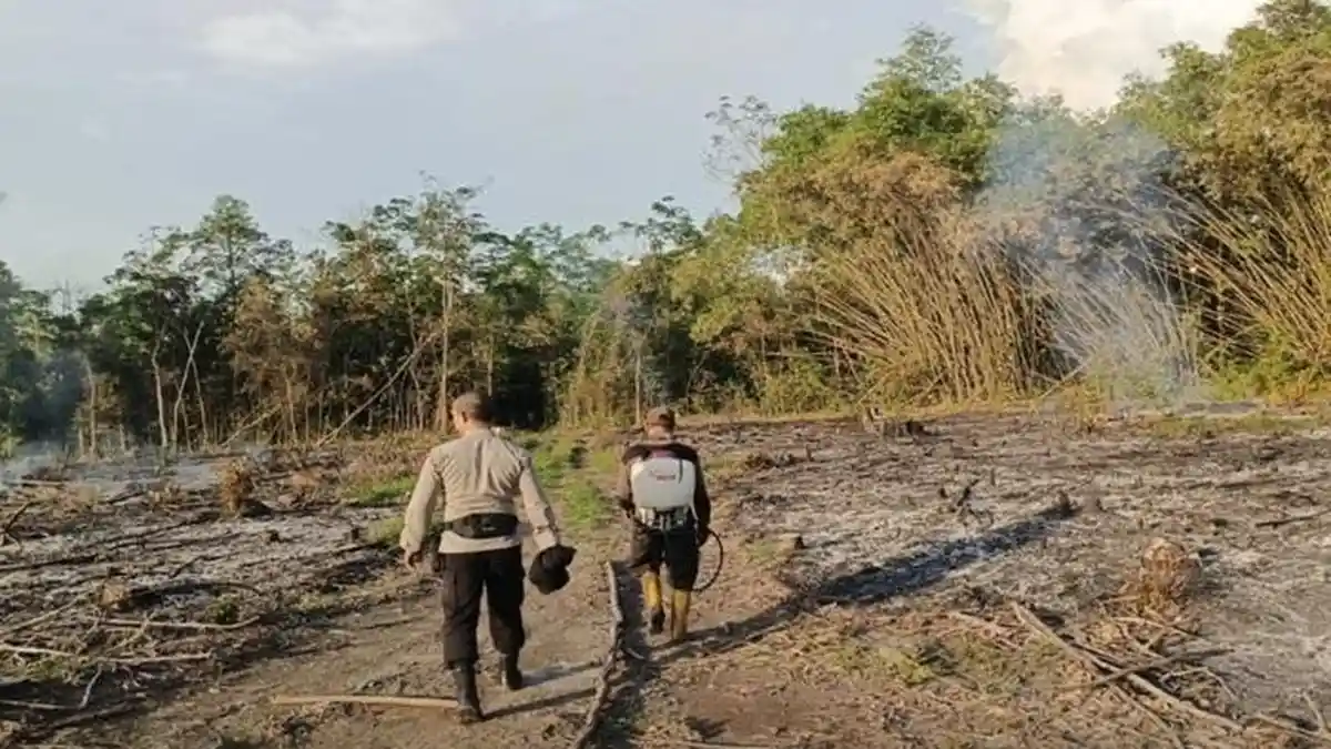 Musim Kemarau Mendekat, Tiga Kabupaten di Sumsel Siaga Karhutla