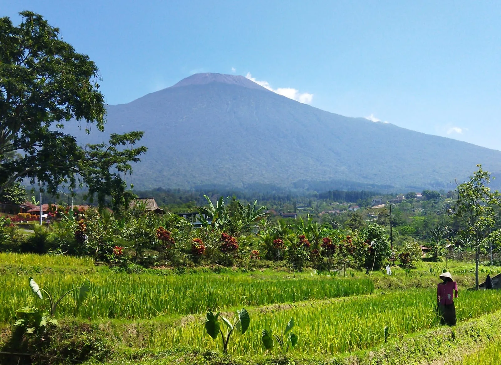 Aktivitas Gunung Slamet Meningkat, BPBD Banyumas Perkuat Kesiapsiagaan