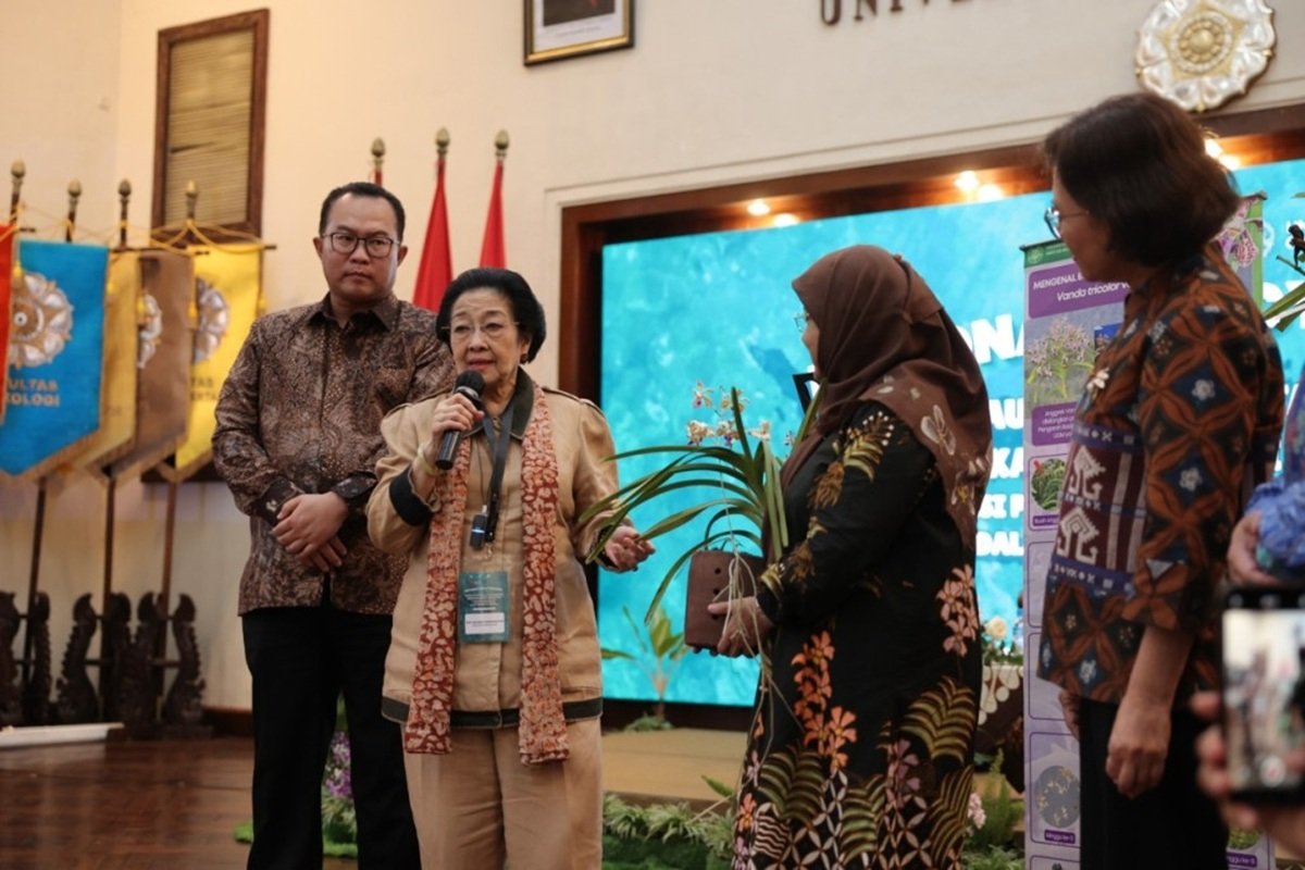 Megawati Soroti Kerusakan Lingkungan usai Saksikan Film Pesta Babi
