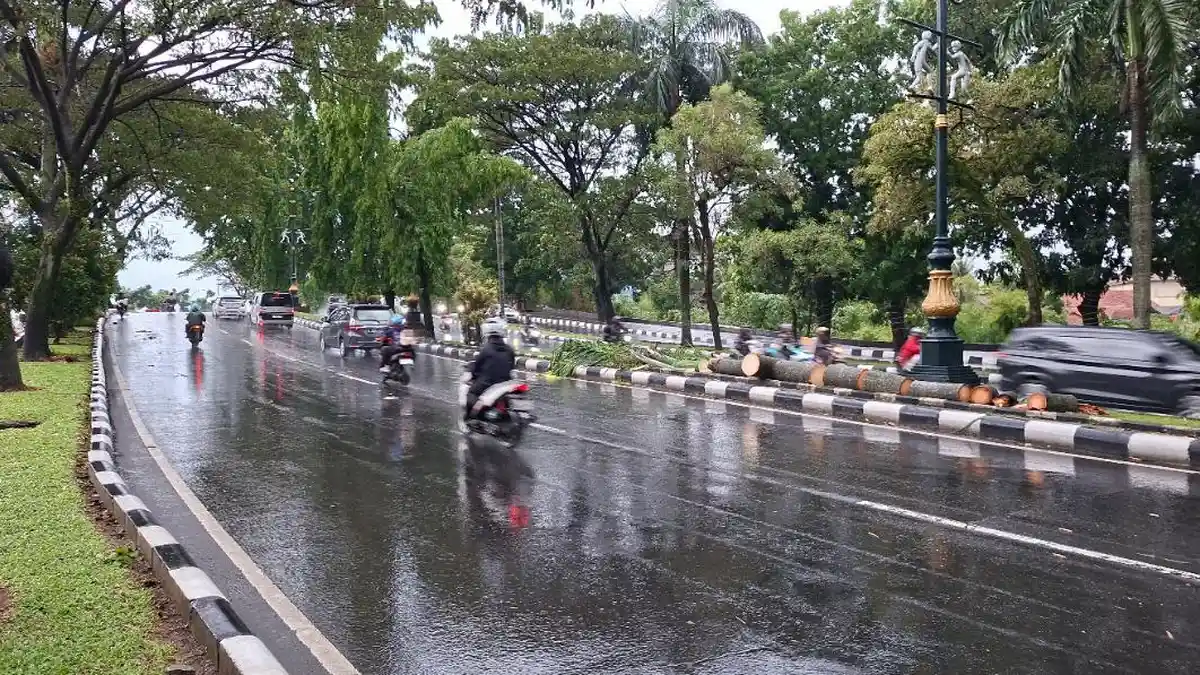 Hujan Deras dan Angin Kencang di Bogor, BPBD Laporkan Korban Jiwa
