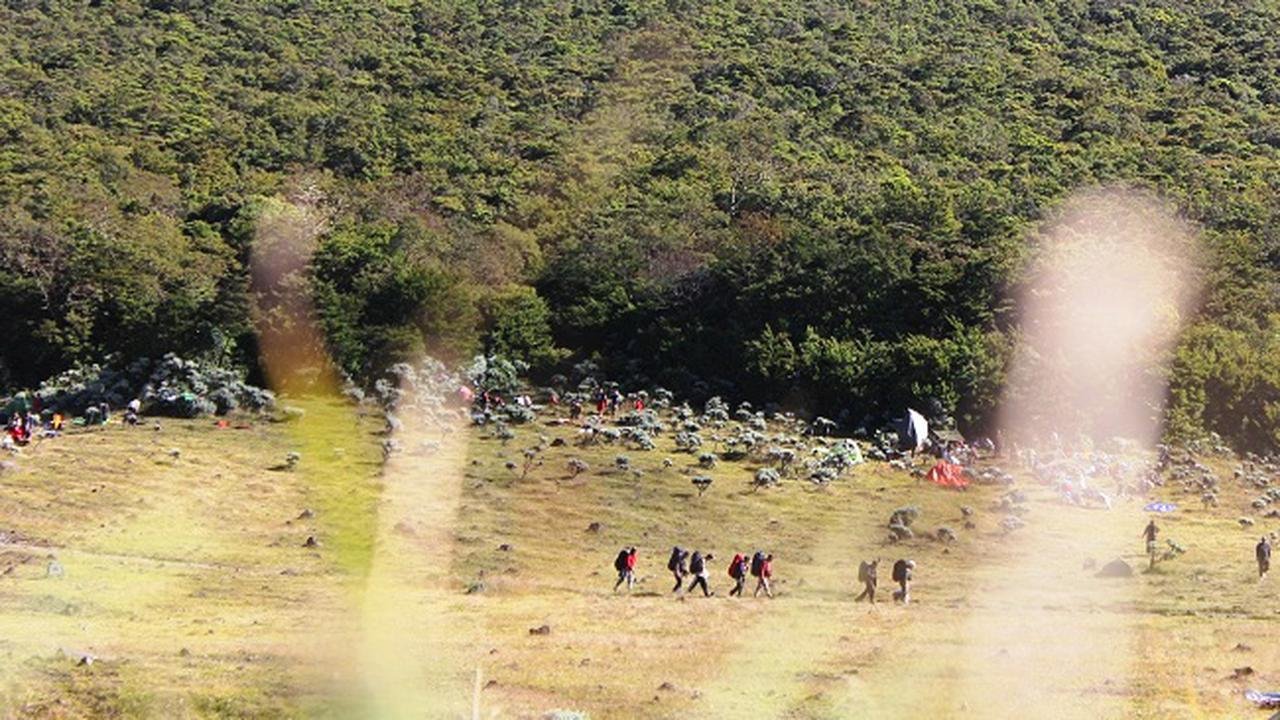 Jalur Pendakian Gunung Gede Pangrango Ditutup Dua Hari, Pendaki Ilegal Diancam Sanksi