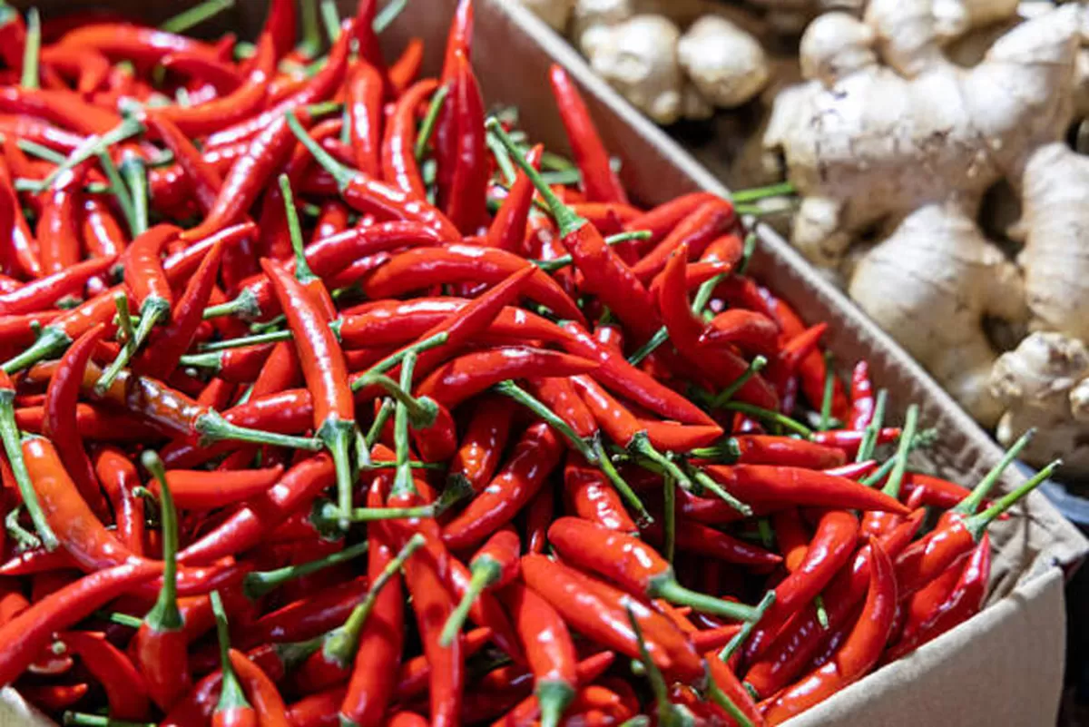 Harga Cabai Rawit Tembus Rp65.350/kg, Telur Ayam Rp31.150/kg