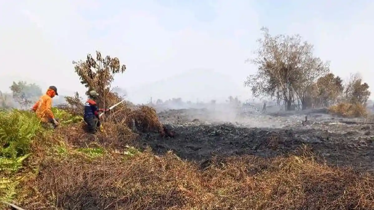 Karhutla Meluas di Aceh, Nagan Raya Jadi Wilayah dengan Lahan Terbakar Terluas