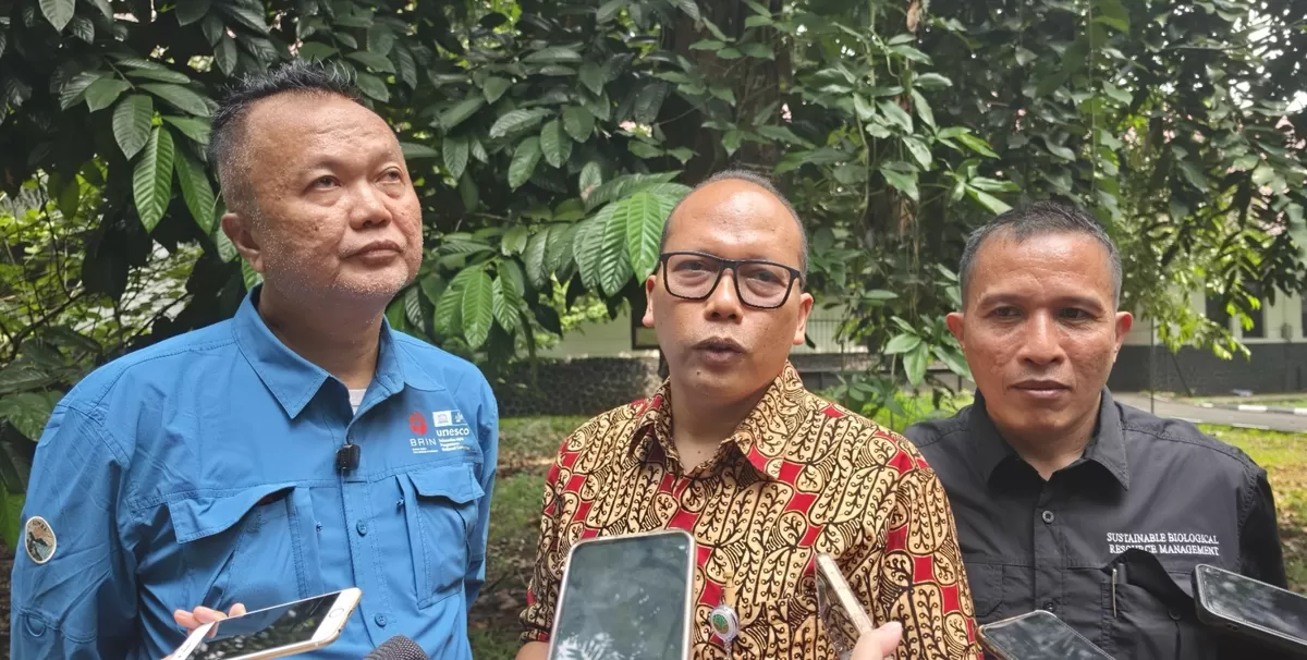 Kemenhut: Penebangan Pohon Bukan Berarti Merusak Hutan Jika Sesuai Aturan