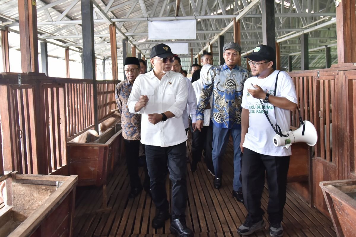 Menko Pangan Dorong Kolaborasi Masyarakat untuk Percepat Kedaulatan Pangan