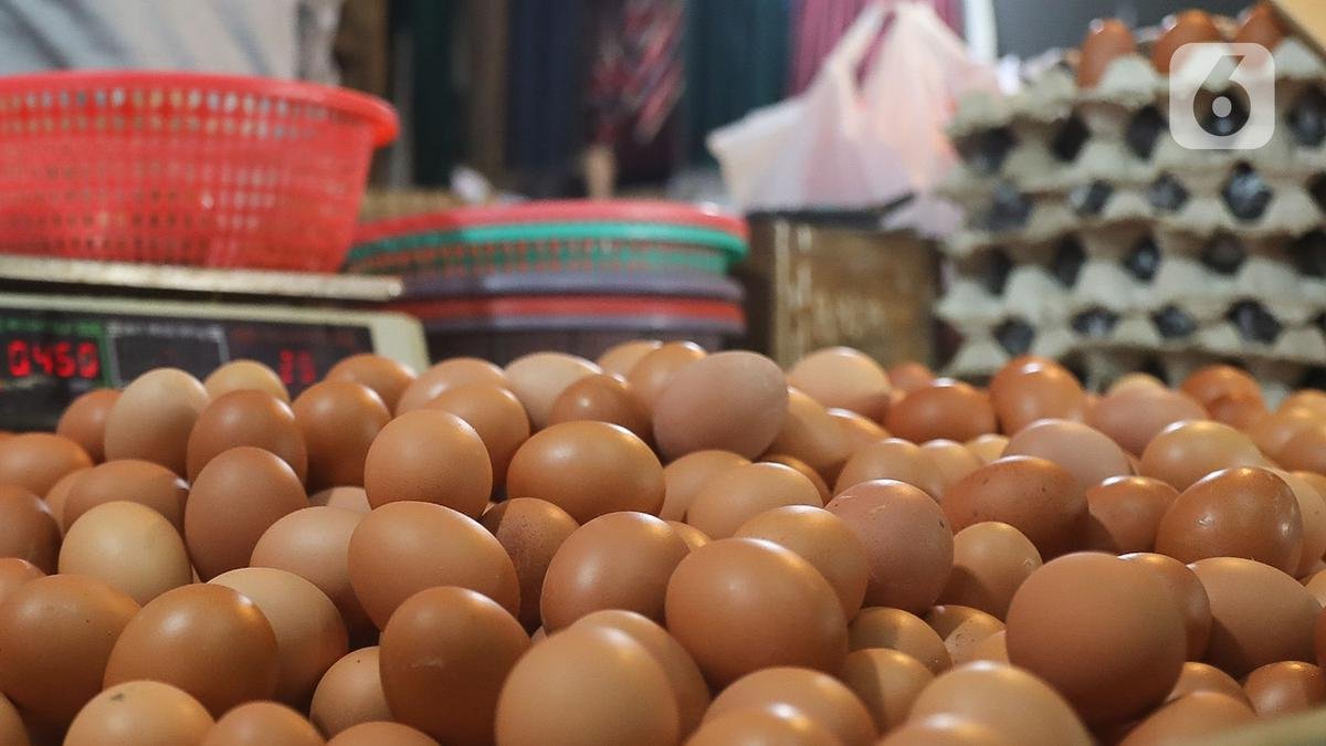 Harga Telur Mulai Stabil, Bapanas Jaga Keseimbangan Peternak dan Konsumen