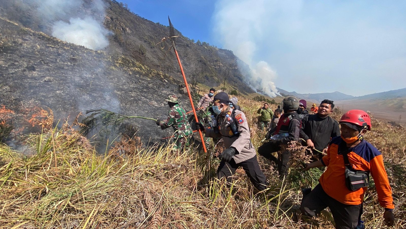 BNPB Ungkap 60 Hektare Kawasan Bromo Terbakar, Petugas Terus Lakukan Pemadaman