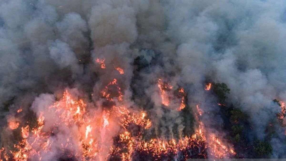 21 Titik Api Karhutla Masih Tersebar di Sumsel, OKI Jadi Prioritas BNPB
