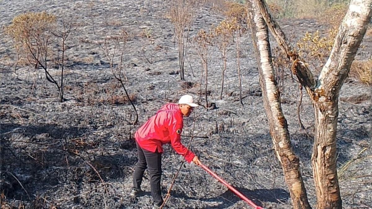 Kebakaran Gunung Rinjani Capai 589 Hektare, Jalur Pendakian Torean Ditutup
