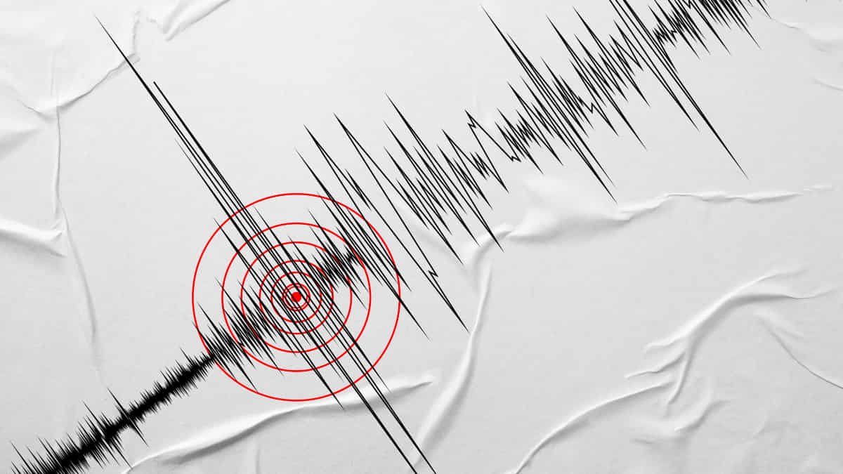 Gempa M5,9 Guncang Kepulauan Seribu Dini Hari, BMKG Imbau Waspada Susulan