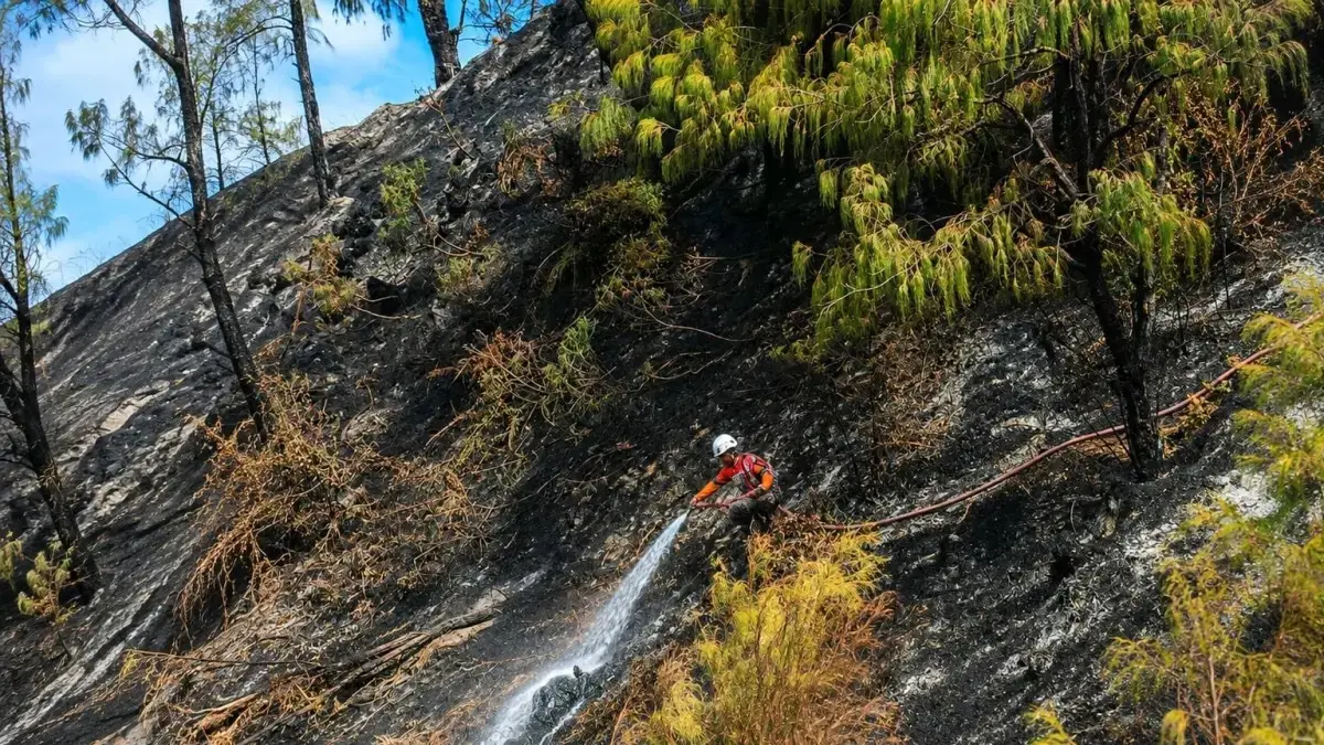 Munawi Meninggal Dunia akibat Karhutla Bromo, Korban Jiwa Kini Capai Lima Orang