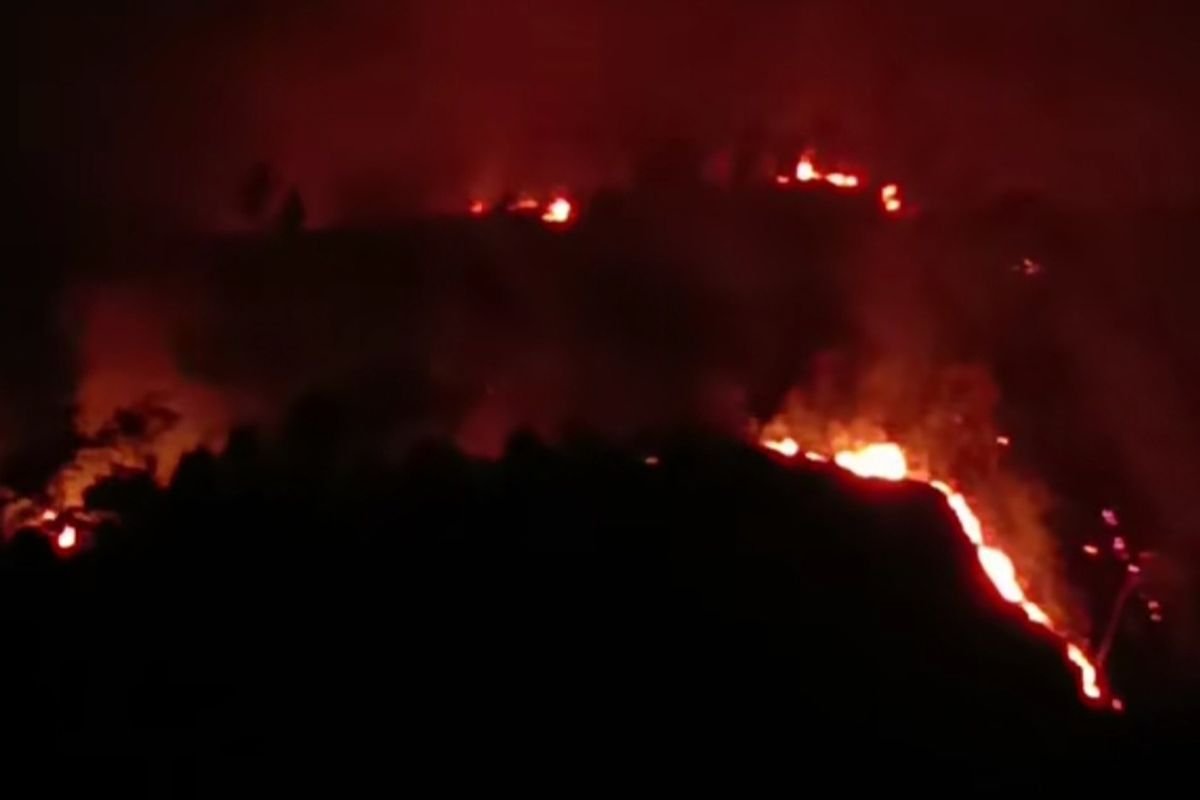 Karhutla Arjuno-Ringgit Merembet ke Malang dan Pasuruan, Tim Gabungan Dikerahkan
